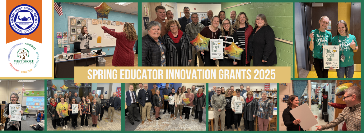 Spring Educator Innovation Grants